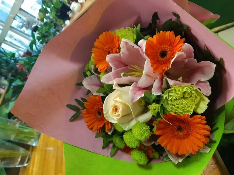 Šopek: Gerbere in orhideja, Cvetličarna Rosa Vita