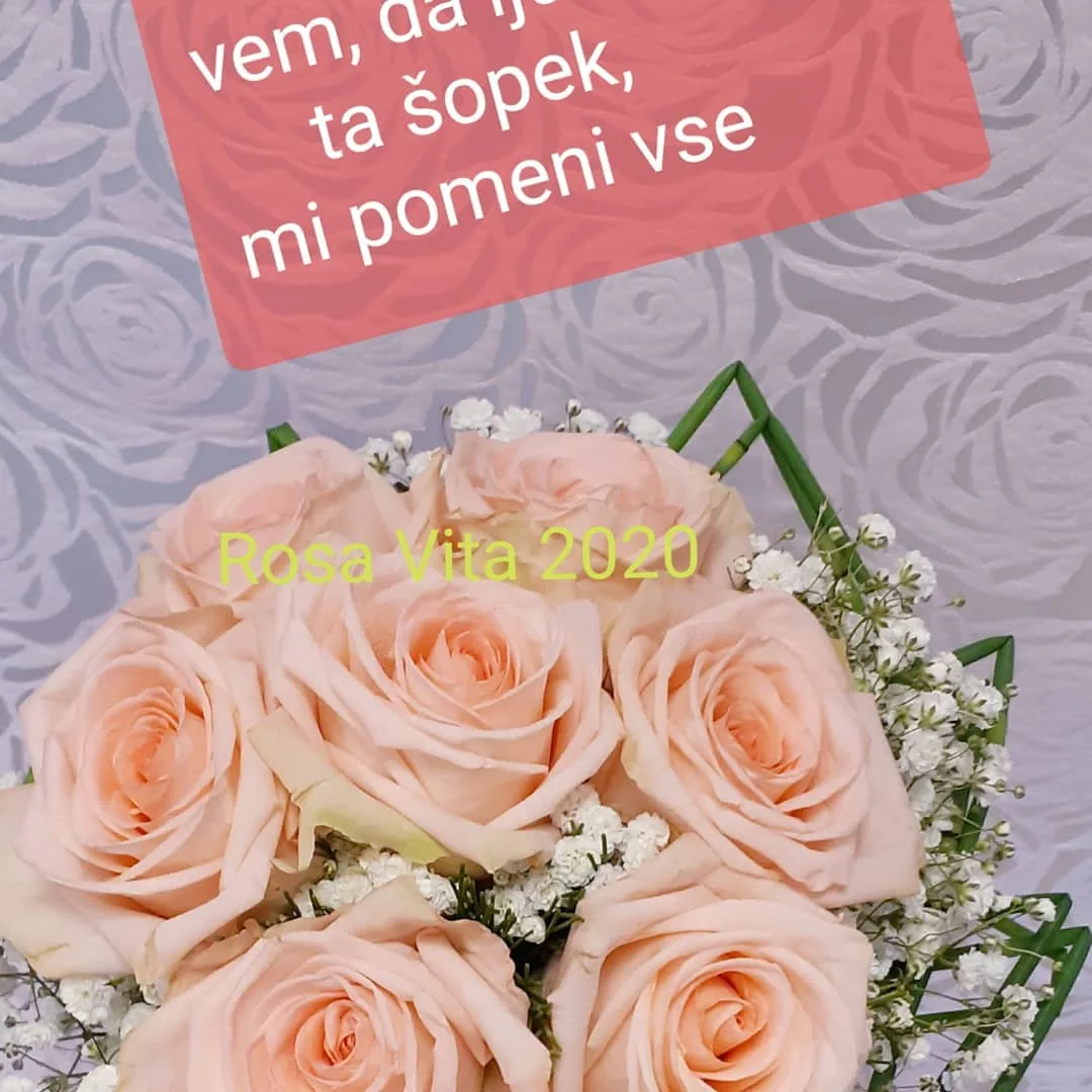 Sveži šopek vrtnic in gerber, Cvetličarna Rosa Vita